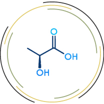 lactic_acid