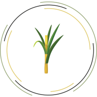 Untitled-7-03 Untitled-7-03